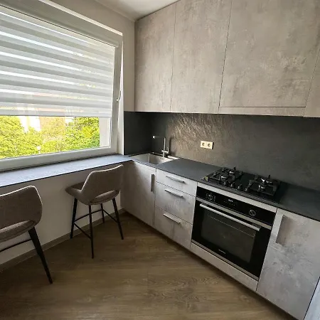 Apartment In Бірштонас Екстер'єр фото