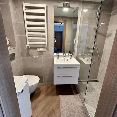 Apartment In Бірштонас Екстер'єр фото