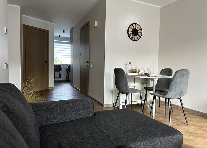 Apartment In Birstonas