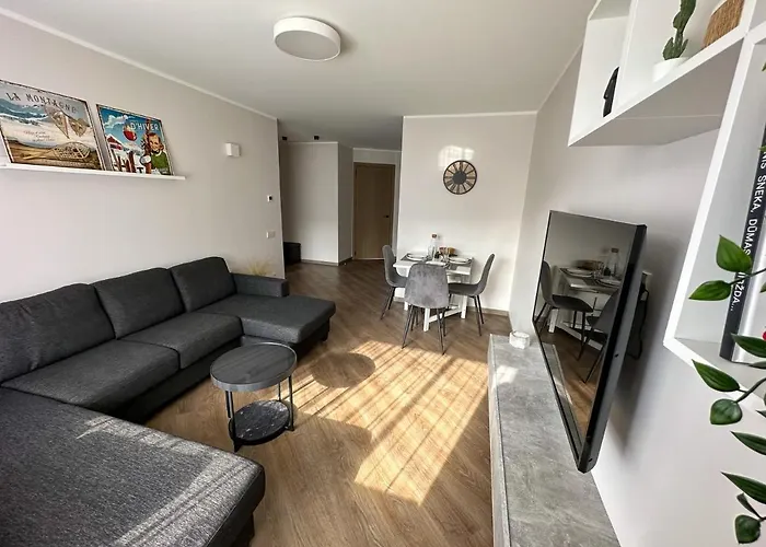 Apartment In Birstonas